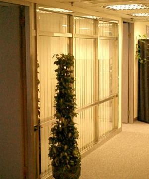 最新现代简约办公室风水植物实景图欣赏