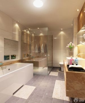 最新室内卫生间浴室钢化玻璃隔断效果图