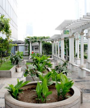 最新现代办公空间屋顶花园设计效果图欣赏