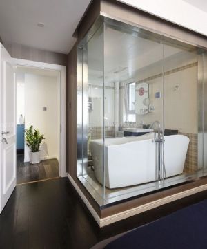 最新混搭风格室内浴室钢化玻璃隔断实景图大全