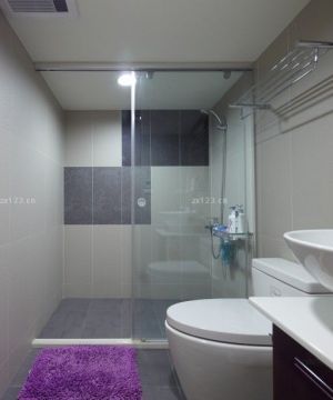 卫生间淋浴隔断效果图片