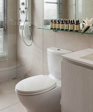 最新100平米房屋现代卫生间淋浴隔断设计图片