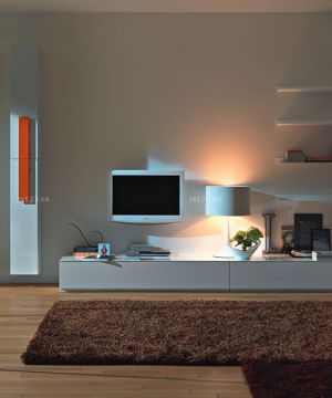 最新现代家居小户型电视柜效果图