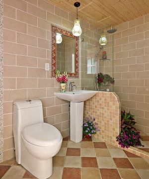 乡村房子小户型卫生间瓷砖配色设计效果图