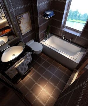 棕色简欧风格厕所装修效果图片大全