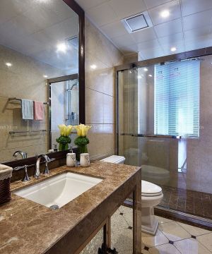 家庭卫生间美式浴室柜装修实景图欣赏