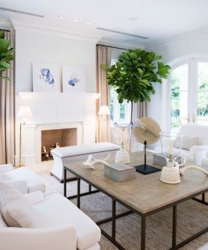 2023家庭客厅白色美式沙发图片