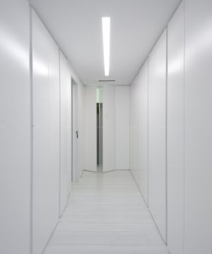 走廊玄关隐形门设计案例