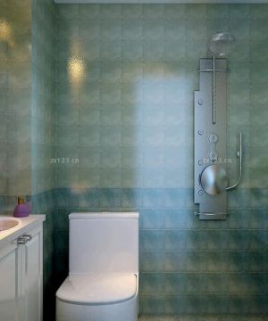 最新小户型一居改两居卫生间淋浴房装修图片欣赏