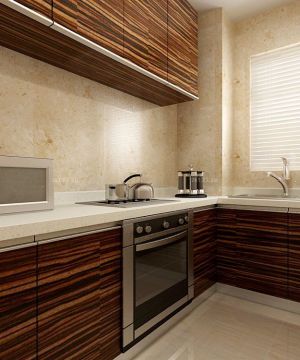 最新现代风格厨房实木橱柜设计图片