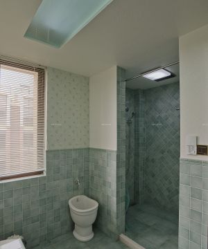 最新一室一厅卫生间暗花地砖装修效果图
