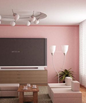 201 温馨风格小户型客厅吸顶灯设计图片