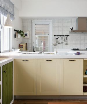 2023家装厨房收纳柜设计图片