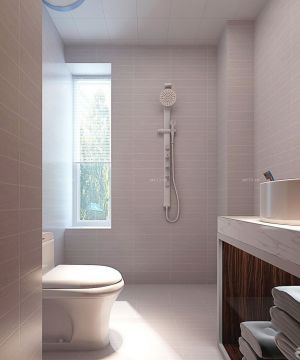 简约卫生间浴室毛巾架设计效果图片