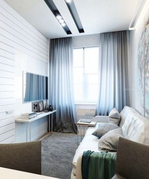 现代风格40平米一居室沙发床设计图片欣赏