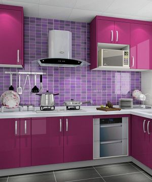 个性现代风格5平米厨房橱柜紫色门装修效果图片