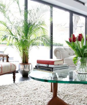 最新现代简约风格家装客厅玻璃塑胶茶几装修图片
