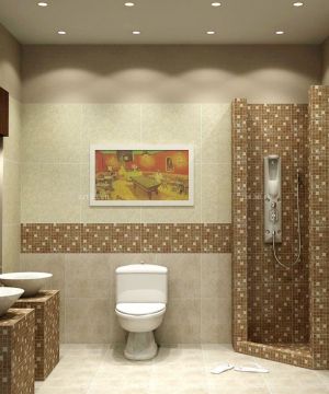 最新130平米户型的卫生间墙面设计装修效果图片