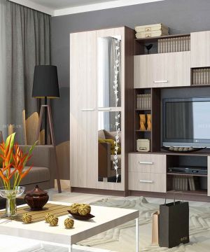 经典两居室装潢组合电视柜设计效果图欣赏