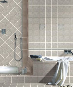 2023小户型浴缸卫生间瓷砖装修图片