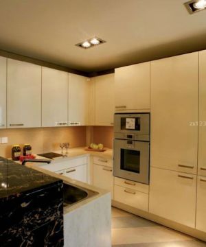 私人别墅整体厨房橱柜设计图片2023