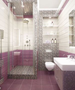 唯美小户型卫生间紫色地砖装饰