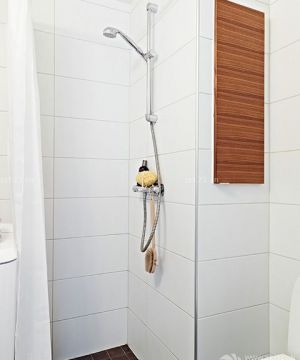 一居室卫生间淋浴喷头装修效果图片