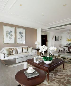 法式装饰风格客厅沙发颜色搭配欣赏