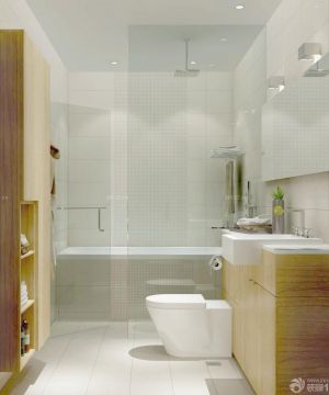 现代家装风格小厕所装修效果图
