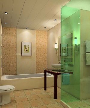 卫生间浴缸装修设计效果图大全