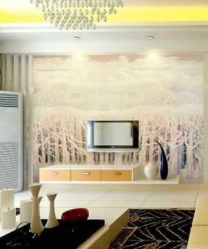 电视背景墙设计 现代简约家装图片