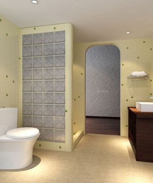 现代家庭室内小厕所吊顶装修效果图片