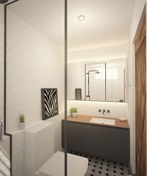 现代欧式风格小厕所吊顶装修效果图