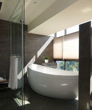 整体浴室图片 白色浴缸装修效果图片