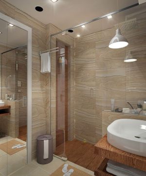 30平方米房子卫生间木纹仿古瓷砖装修图