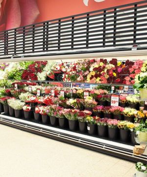 超市的储物柜花卉盆景图片欣赏