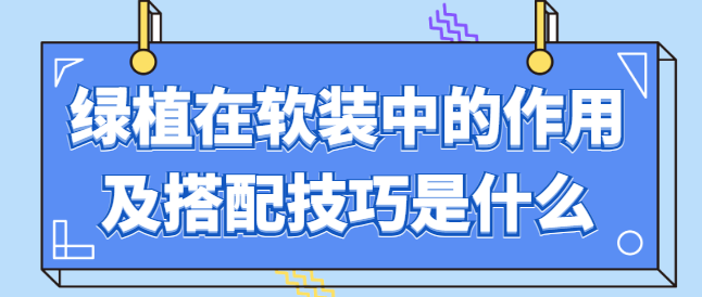 绿植在软装中的作用及搭配技巧是什么