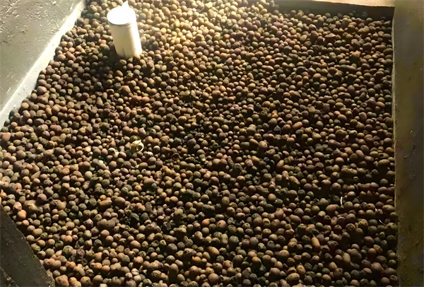 下沉式卫生间回填用陶粒还是发泡水泥