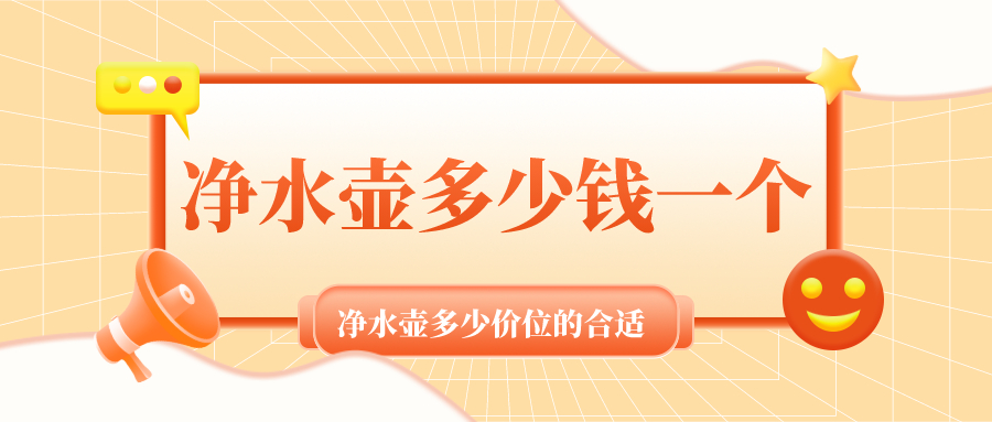 净水壶多少钱一个_净水壶多少价位的合适