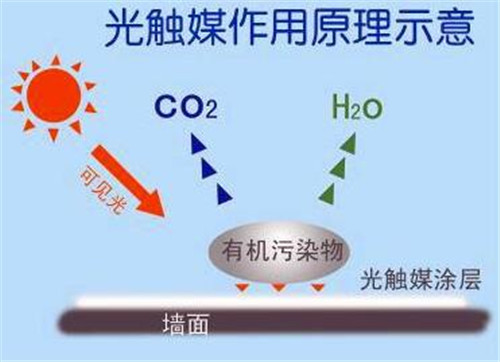光触媒除甲醛要用多少钱呢 去除甲醛的常见方法有哪些