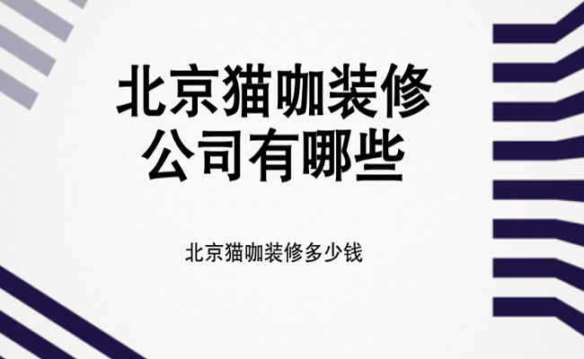 北京猫咖装修公司有哪些？北京猫咖装修多少钱？