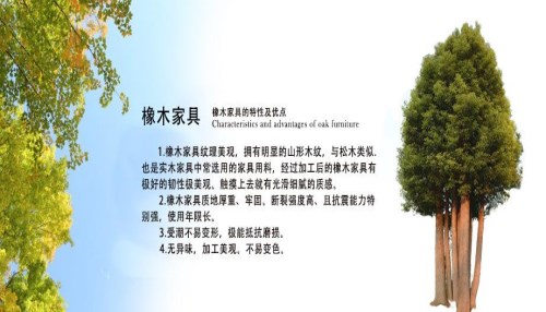红橡木家具价格是多少 哪个品牌的橡木家具好