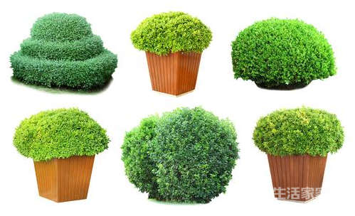 怎么样快速去除新房内的油漆味？