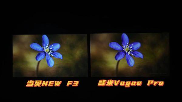 4000元预算，峰米Vogue Pro和当贝NEWF3谁的体验