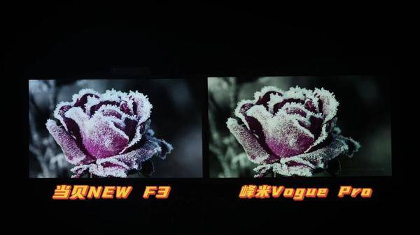 4000元预算，峰米Vogue Pro和当贝NEWF3谁的体验