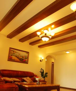 房屋客厅木质吊顶设计图
