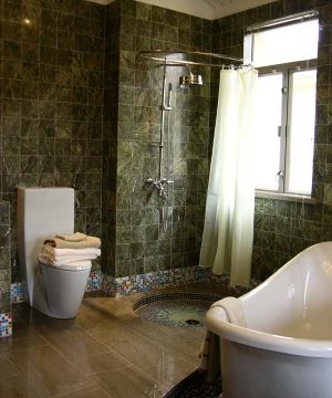 卫生间浴室仿古砖装修图
