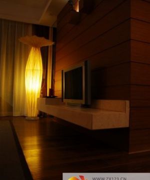 室内木质电视背景墙设计图片