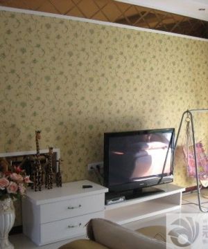 电视背景墙花纹壁纸装修效果图 