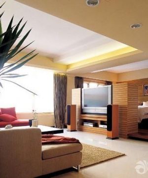 混搭风格客厅影视墙装修设计图片欣赏